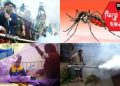 ২০১৯ সালের রেকর্ড ভাঙলো ডেঙ্গু