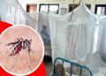 দেশে ডেঙ্গু শনাক্ত ৬০ হাজার ছাড়িয়েছে
