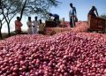 ভারত ছাড়া আরও ৯ দেশ থেকে পেঁয়াজ আমদানির অনুমতি