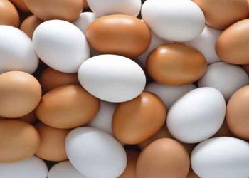 দেশে বছরে উৎপাদিত হয় ২ হাজার ৫৭ কোটি ডিম