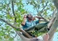 কথা বলতে গাছের ডালে আইসিসির আম্পায়ার