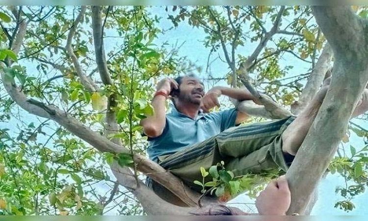 কথা বলতে গাছের ডালে আইসিসির আম্পায়ার