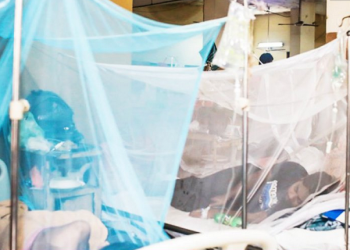 আগস্টের ৩০ দিনে সাড়ে ৩ হাজার ডেঙ্গু রোগী