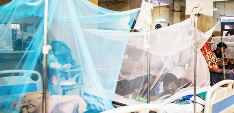 আগস্টের ৩০ দিনে সাড়ে ৩ হাজার ডেঙ্গু রোগী