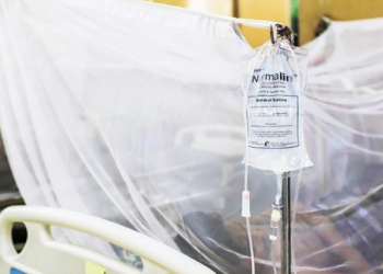 ডেঙ্গুতে আরও একজনের মৃত্যু, হাসপাতালে ভর্তি ২৪৫