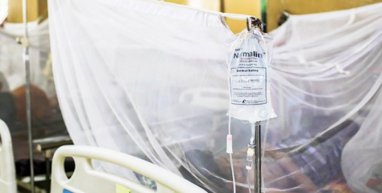 ডেঙ্গুতে আরও একজনের মৃত্যু, হাসপাতালে ভর্তি ২৪৫