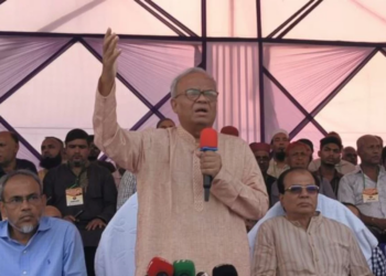 হাসিনার জন্য আরও একটি তাজমহল নির্মাণ করুন: ভারতকে রিজভী